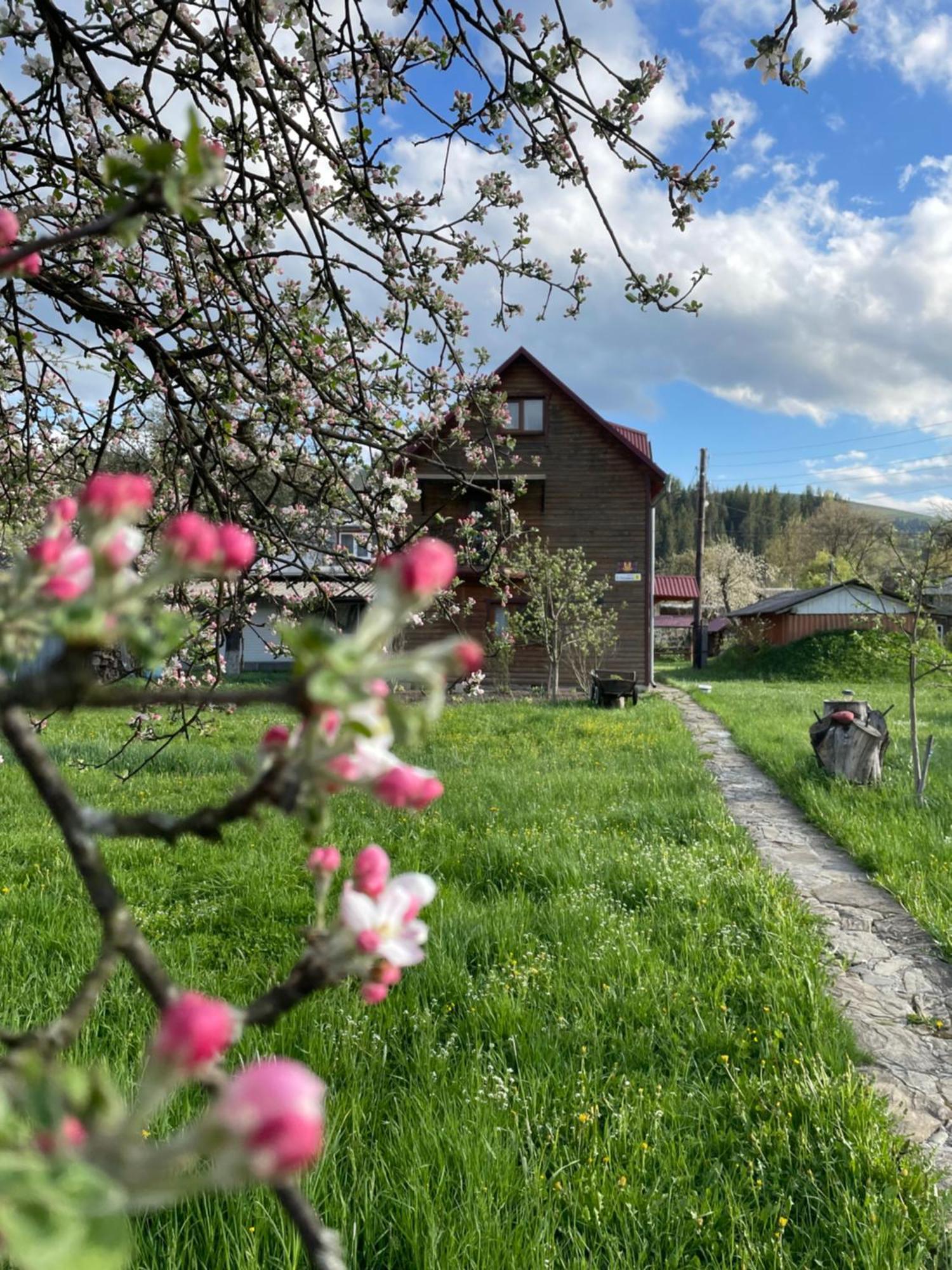 Pidkova Villa Verhovîna Exterior foto